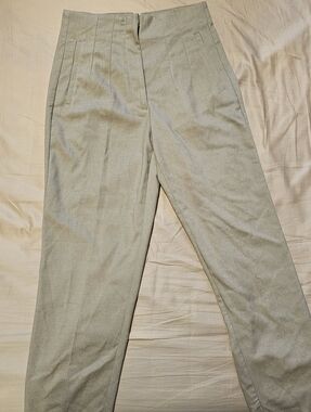 NWOT Zara High Waste Pants